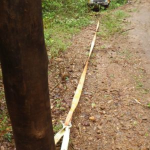 Cinta de Nylon 46.410 lbs 4"X2,50m HD - Imagem 2